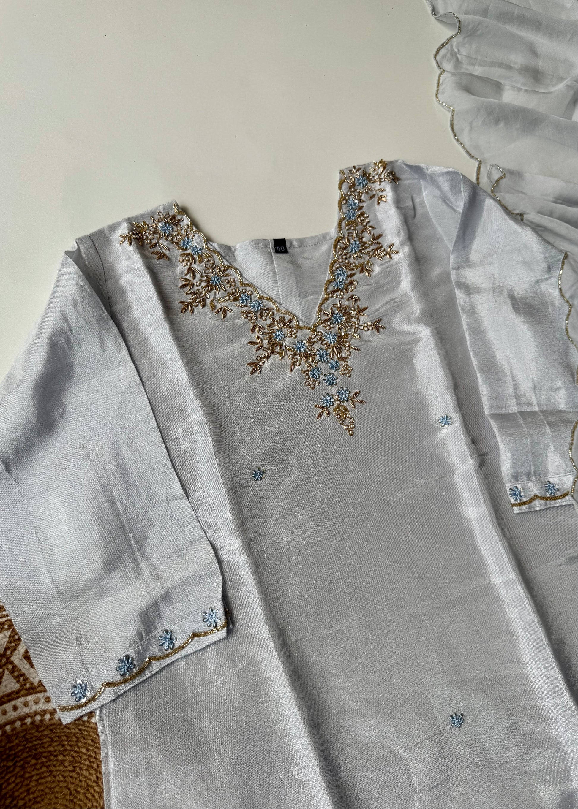 “Aylize” Graceful Pastel shade Tisse Silk Handwork Suit Set