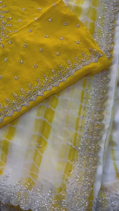 "Kashvi" Beautiful Pure Chinnon handwork saree